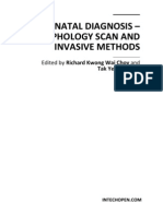 Prenatal Diagnosis - Morphology Scan and Invasive Methods