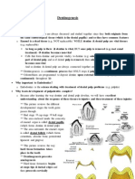 7 - Dentinogenesis PDF