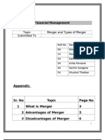 Merger Write Up