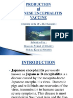 Japanese Encephalitis