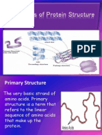 Four Levels of Protein Structure