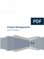 BI Project Management