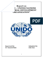 Report On Unido - United Nations Industrial Development Organization"