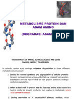 9a. Metabolisme Asam Amino