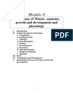 Module 4-The Botany of Wheat - Anatomy, Growth and Development and Physiology