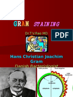 Gram Staining