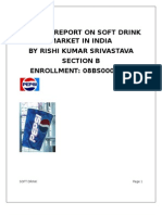 Project Report On Soft Drinks Market in India