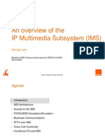 IMS Presentation V0.3 2008-10-28