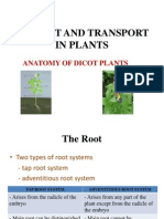 Support and Transport in Plants