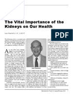 The Vital Importance of The Kidneys On Our Health