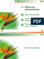 9C Plants and Photosynthesis