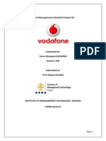 Vodafone Brand Management