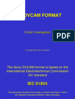 DV Cam Format