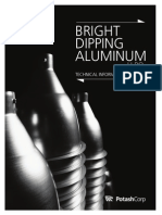 Bright Dip Manual PDF