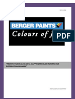 Berger Paints SIP Report