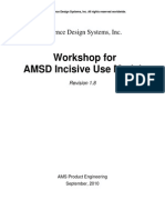 Workshop For AMSD Incisive Use Model