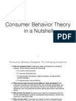 Consumer Behavior Theory in A Nutshell