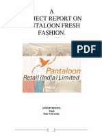 Pantaloon Project PDF