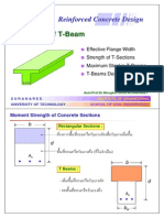 RC07 TBeam PDF