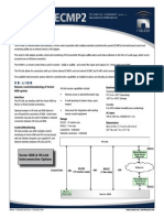 Vr-Link Ecmp2 W Fss 1.1