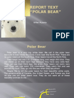 About Polar Bear