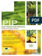 MD2 Pineapple Protocol