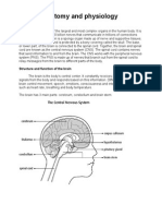 Trixie - Anatomy and Physiology (Brain Tumor)