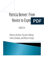 Patricia Benner-From Novice To Expert