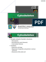 L2b - Cytoskeleton PDF