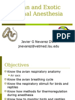 Avian and Exotic Animal Anesthesia