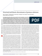 Structural and Kinetic Determinants of Protease Substrates