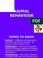 Animal Behavior PP T