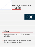 Proton Exchange Membrane Fuel Cell