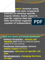 Cell Differentiation and Organogenesis 2