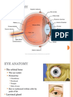 3800lecture 1 - Eye Anatomy