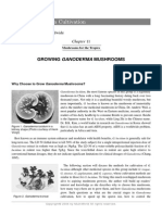 Mushroom Growers Handbook 1 Mushworld Com Chapter 11 PDF