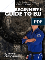 Beginner's Guide To BJJ