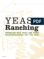 Yeast Ranching