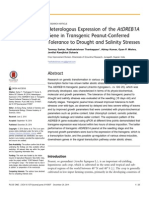 Heterologous Expression of The AtDREB1A Gene in Transgenic Peanut-Conferred Tolerance To Drought and Salinity Stresses