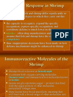 Immune Response in Shrimp