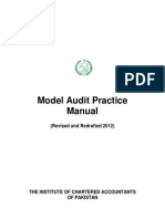 AuditPracticeManual Clean