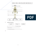 Repaso Examen Science.t2 Skeleton, Joints and Muscles.2ºprimaria