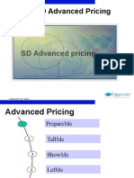 Sap SD Advanced Pricing 120604011043 Phpapp02