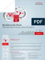 Oracle Big Data Cloud Service