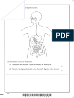 6 The Diagram Shows The Human Digestive System