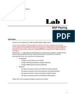 Lab1 BGP Exercise BGP Peering