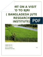 Report On A Visit To To Bjri