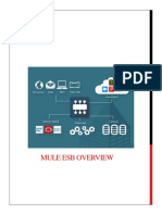 Mule ESB Overview