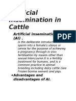 Artificial Insemination in Cattle