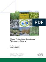 Global Potential of Sustainable Biomass For Energy (2009) S.ladaNAI & J.vintERBACK